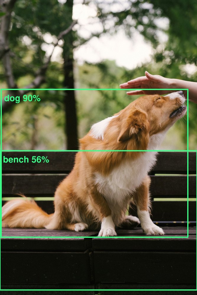 The same photograph with boxes drawn round the dog and the bench.