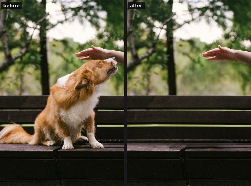 A dog on a bench, and the same bench with the dog removed.